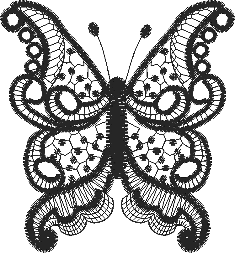 Lace 41  (10)