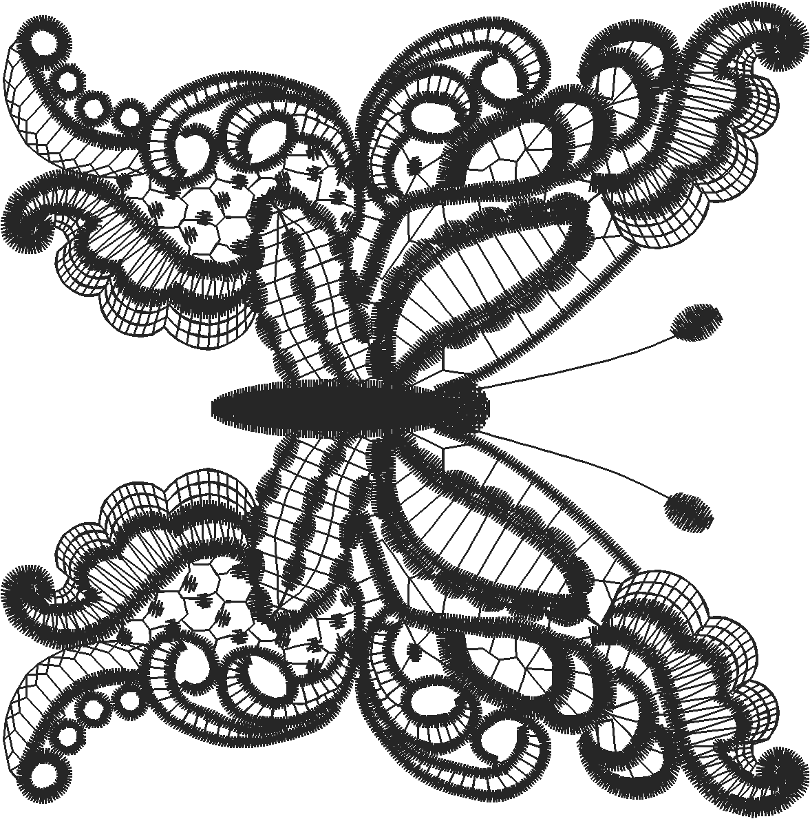 Lace 41  (9)