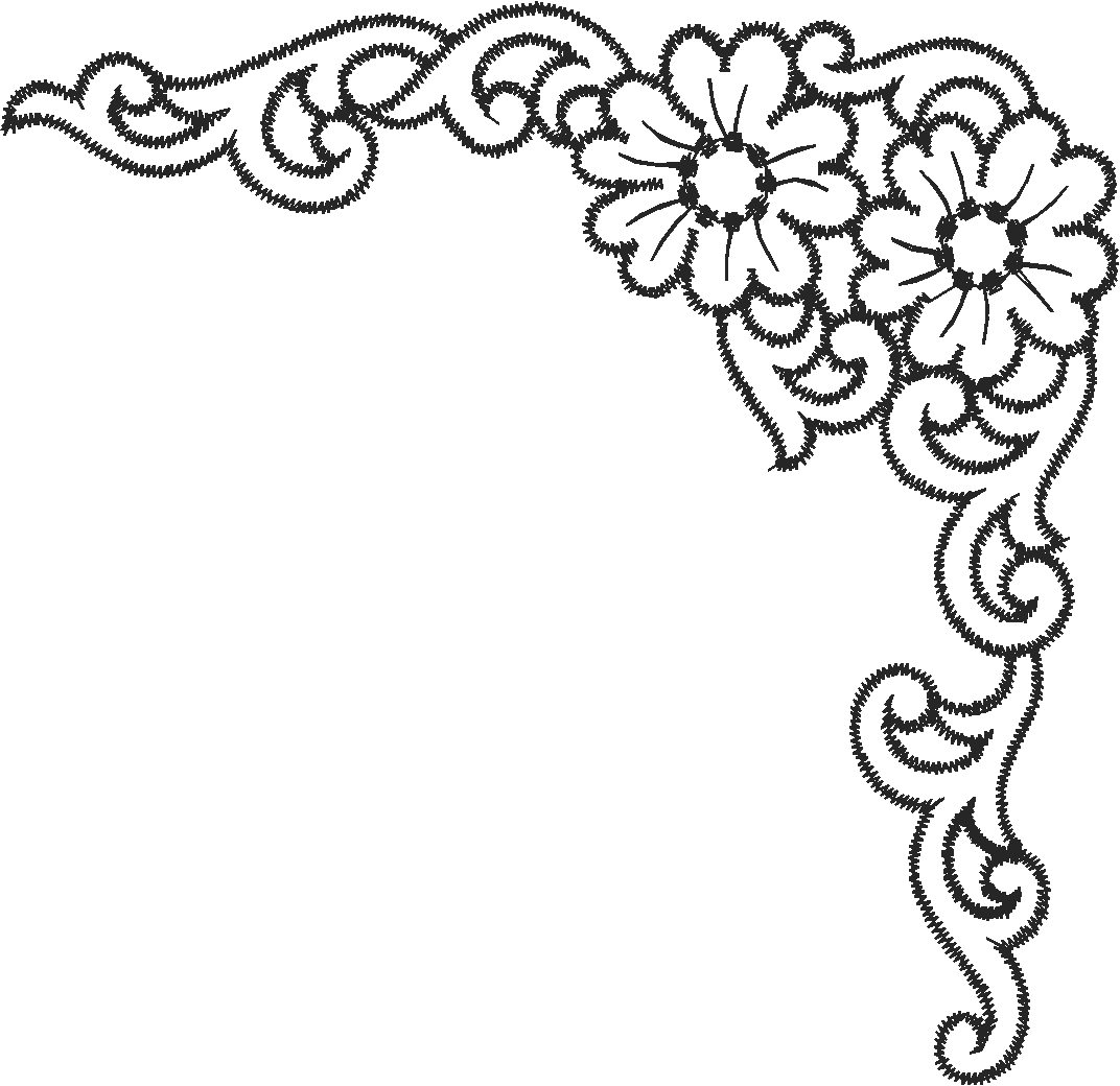 Lace 54  (22)