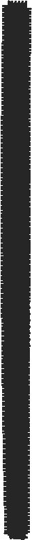 Tiarab16