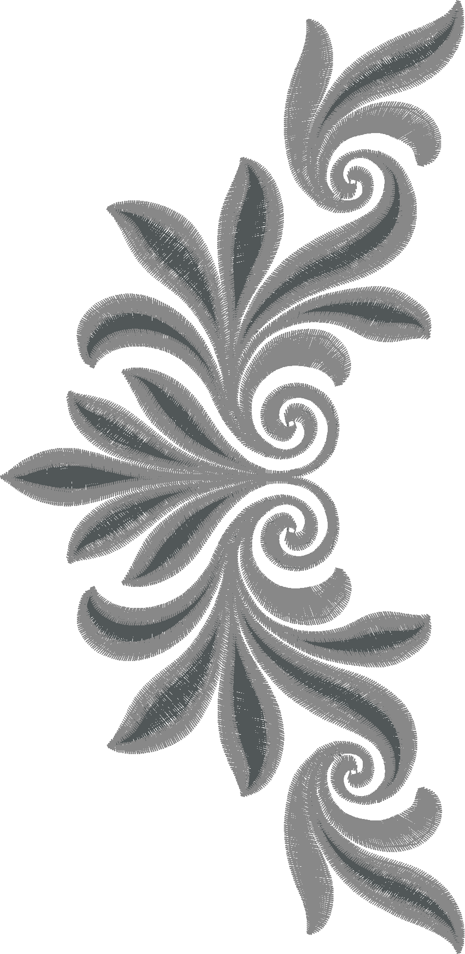 Layfaette 1  (17)