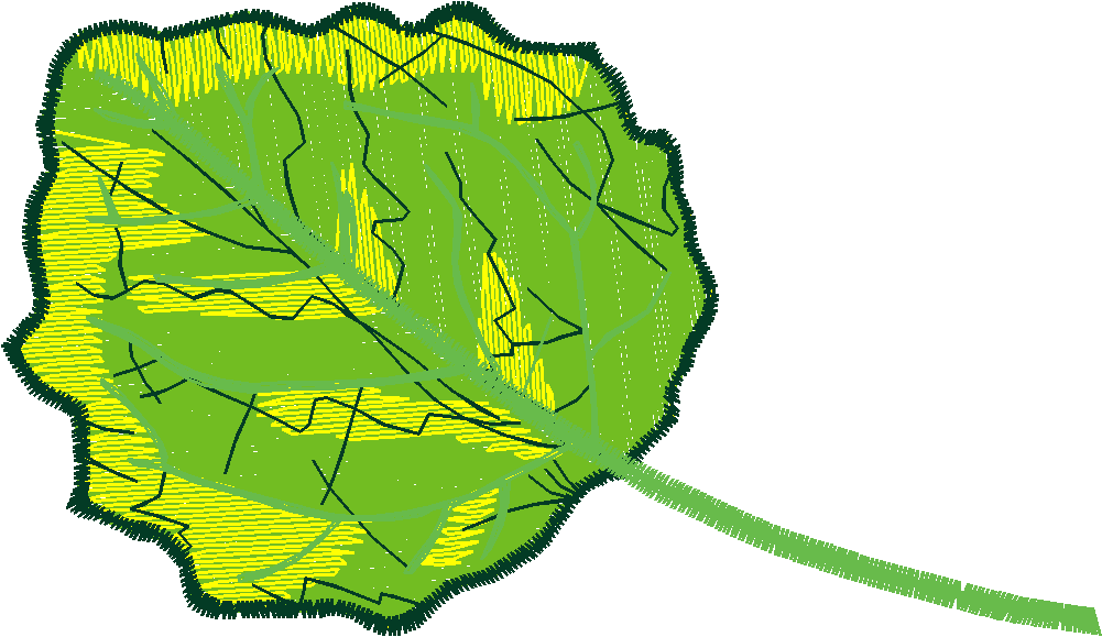 Leaves 2 (12)