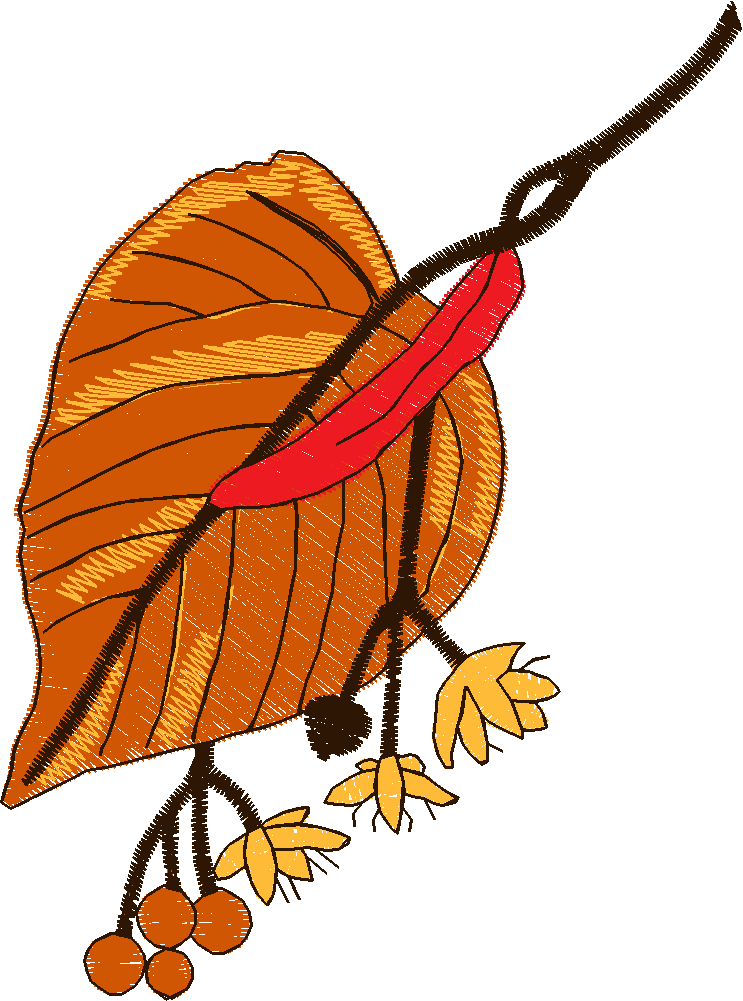 Leaves 2 (2)