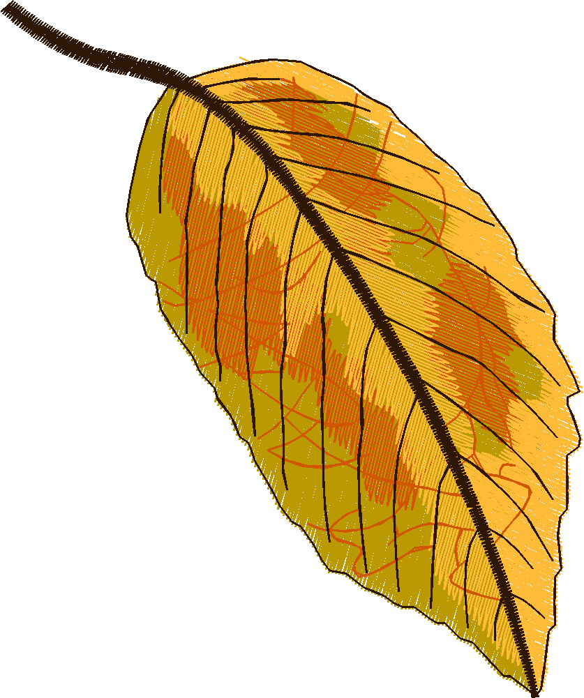 Leaves 2 (6)