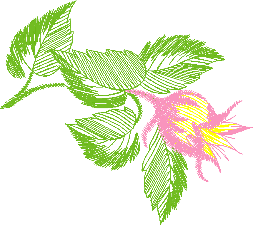 Leaves 3 (3)