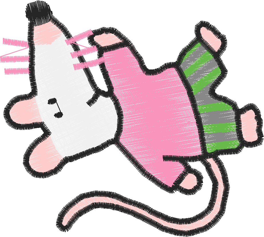 Muis