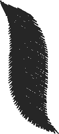 Pf16028