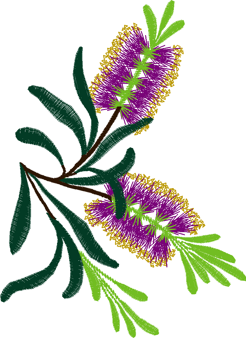 Oz 1  (3)