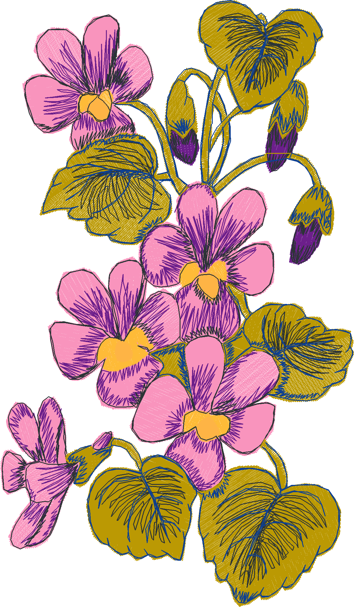 Pansies 2 (8)