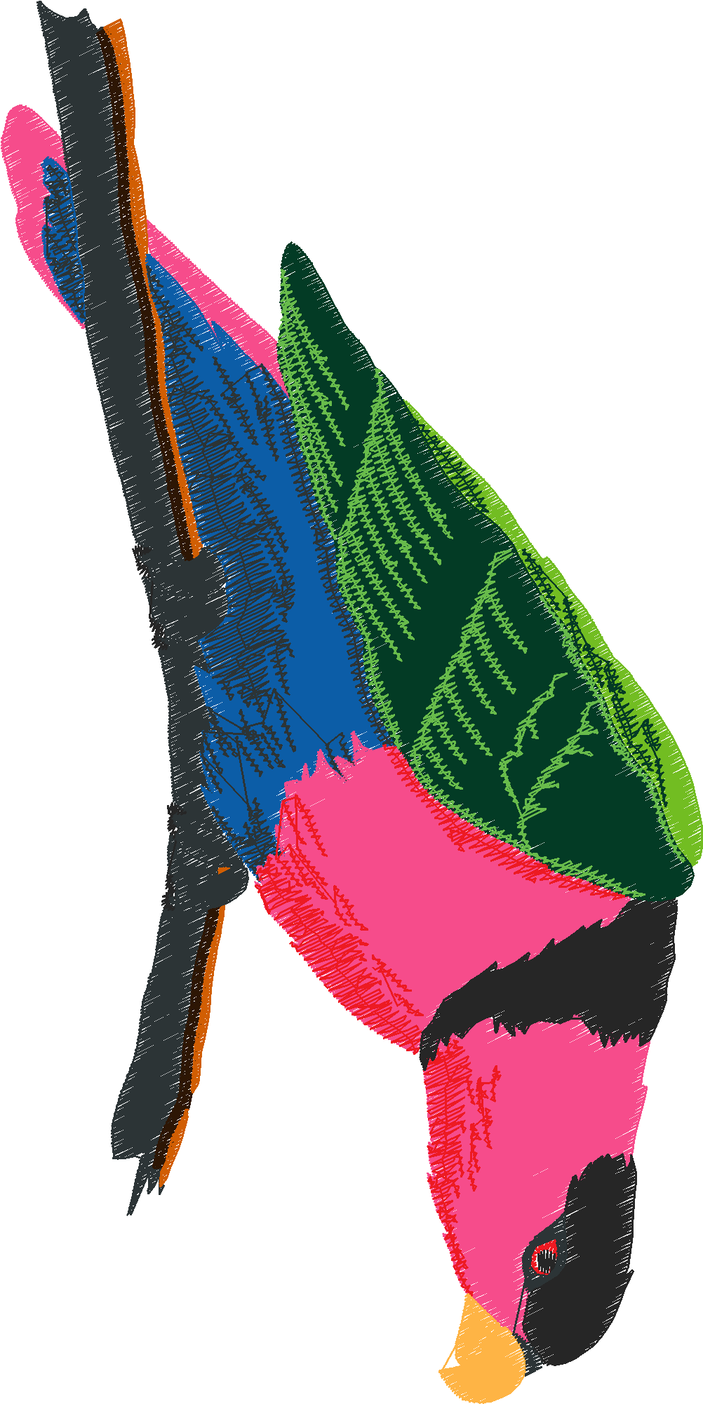 Parrots 1  (14)