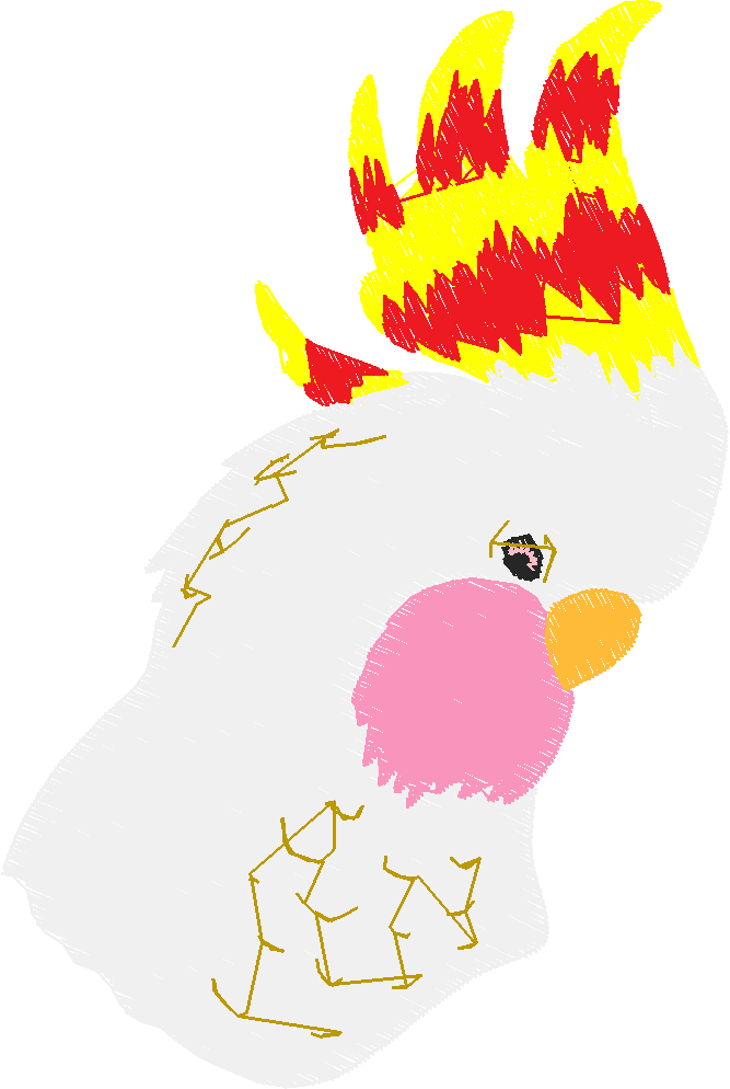 Parrots 1  (9)