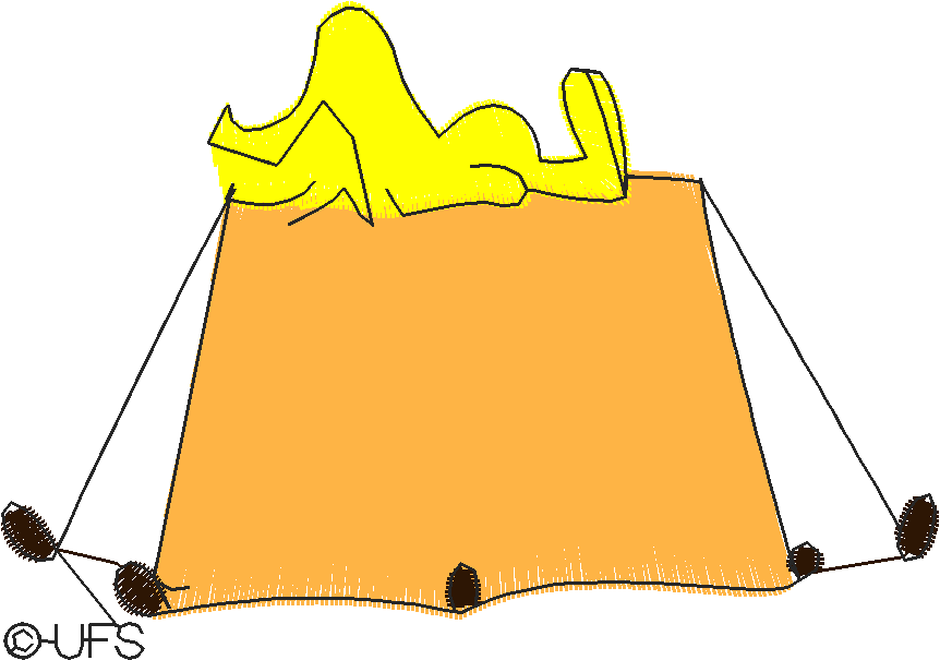 V00138