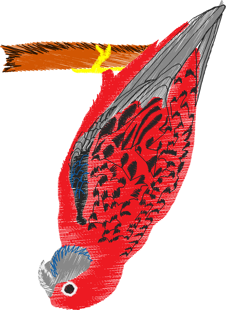 Pfaff 2  (183)