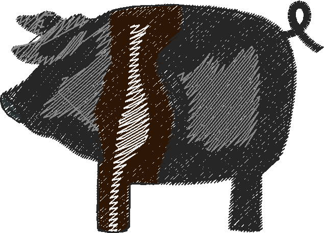 Pigs 1  (13)