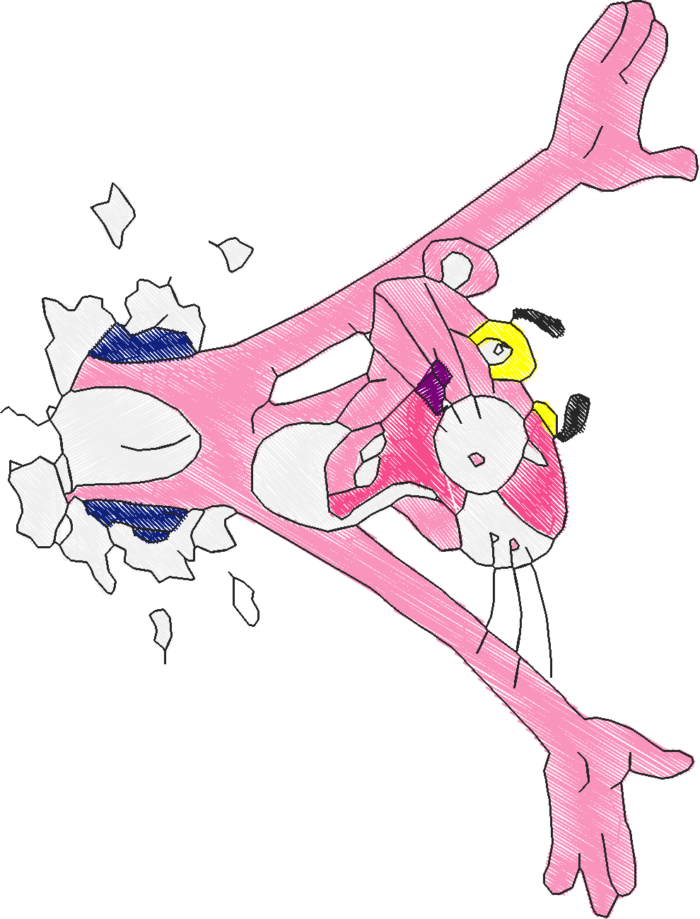Pink Panter Gr 21 2