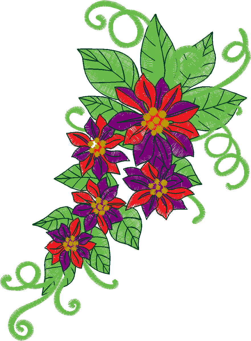 Poinsetta  (10)