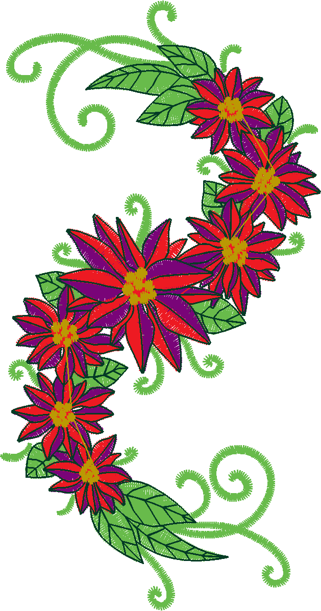 Poinsetta  (2)