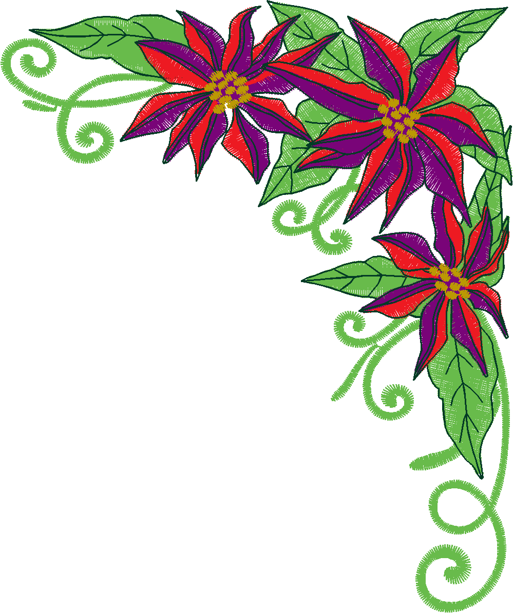Poinsetta  (3)