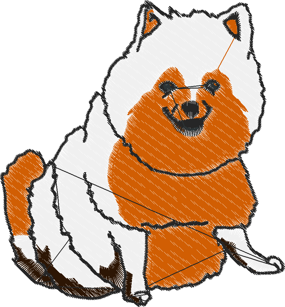 Pomeranians 1  (2)