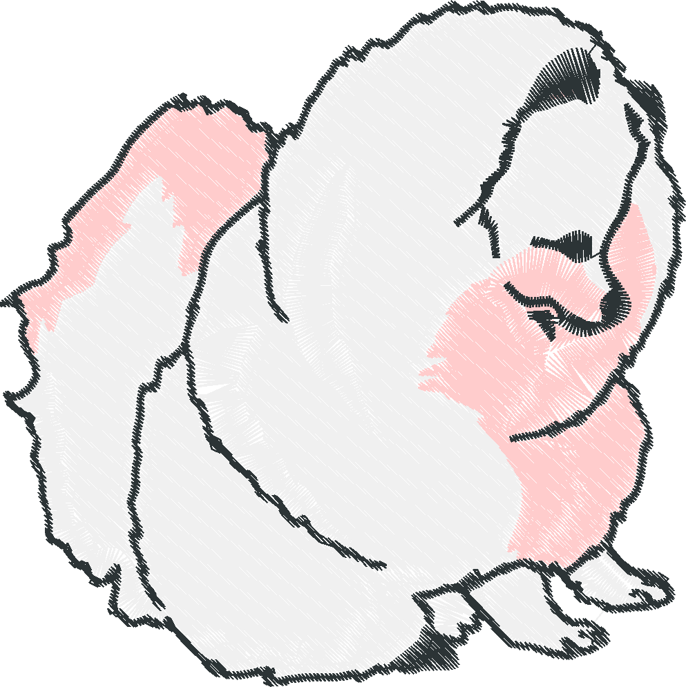 Pomeranians 1  (3)