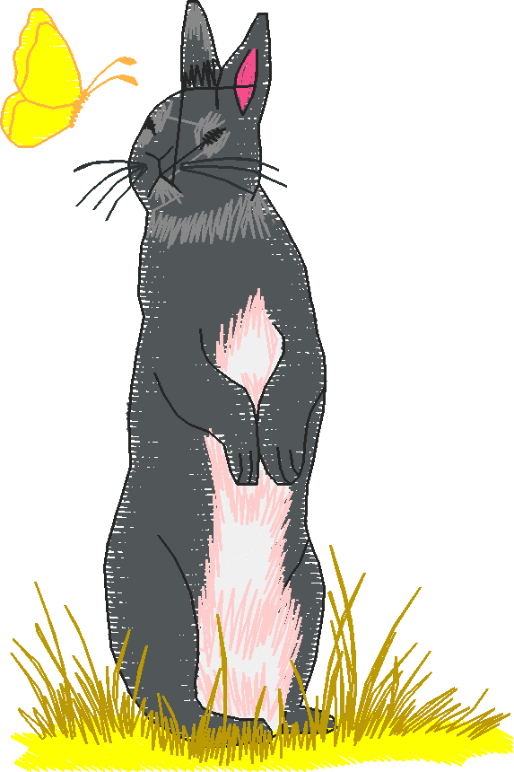Rabbits 3  (15)