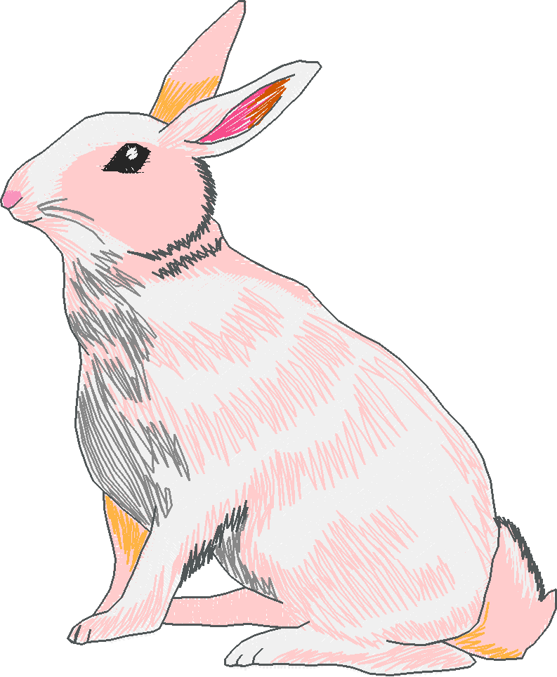 Rabbits 3  (6)