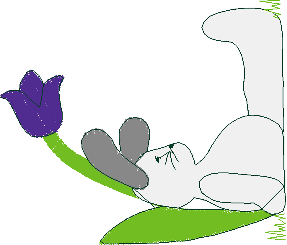 Rabbits 4  (37)